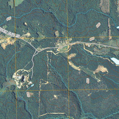 United States Geological Survey Rock Branch, GA (2011, 24000-Scale) digital map