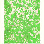 United States Geological Survey Rock Cave, WV (1966, 24000-Scale) digital map