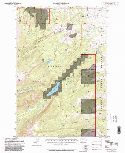 United States Geological Survey Rock Creek Lake, MT (1996, 24000-Scale) digital map