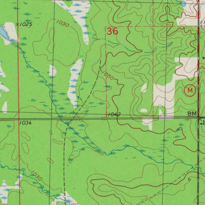 United States Geological Survey Rock Dam Lake, WI (1979, 24000-Scale) digital map