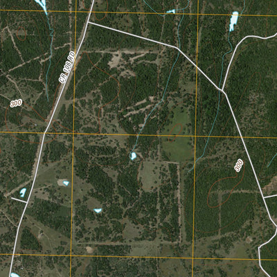 United States Geological Survey Rock Island, TX (2010, 24000-Scale) digital map