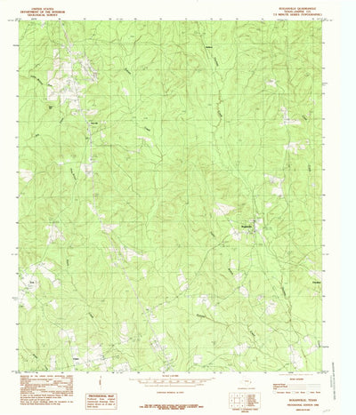 United States Geological Survey Roganville, TX (1984, 24000-Scale) digital map
