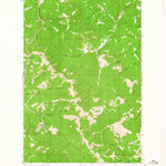 United States Geological Survey Rogers Pass, MT (1963, 24000-Scale) digital map