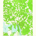 United States Geological Survey Rollins Fork, VA (1949, 24000-Scale) digital map