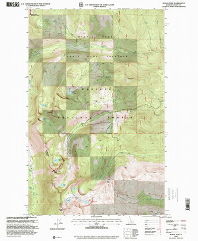 United States Geological Survey Roman Nose, ID (1996, 24000-Scale) digital map