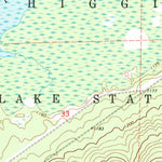 United States Geological Survey Roscommon South, MI (1963, 24000-Scale) digital map