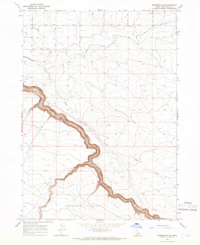 United States Geological Survey Roseworth NE, ID (1965, 24000-Scale) digital map