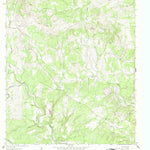 United States Geological Survey Rough Hollow, TX (1963, 24000-Scale) digital map