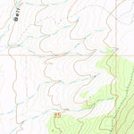 United States Geological Survey Round Bottom, CO (1966, 24000-Scale) digital map