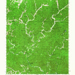 United States Geological Survey Round Spring, MO (1945, 62500-Scale) digital map