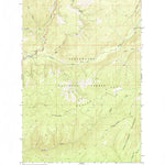 United States Geological Survey Roundtop, ID (1964, 24000-Scale) digital map