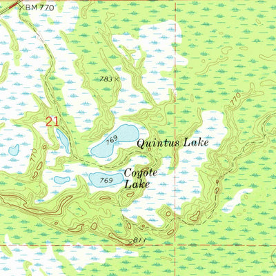 United States Geological Survey Roy Lake, MI (1973, 24000-Scale) digital map
