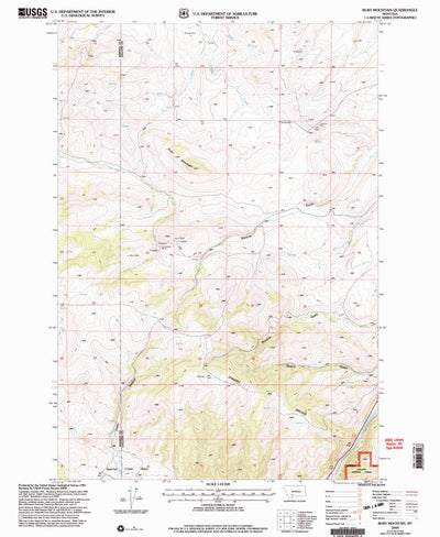 United States Geological Survey Ruby Mountain, MT (2000, 24000-Scale) digital map