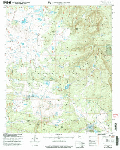 United States Geological Survey Rudd Knoll, AZ (1997, 24000-Scale) digital map
