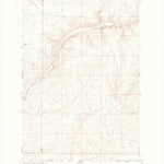 United States Geological Survey Ruff, WA (1967, 24000-Scale) digital map