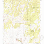 United States Geological Survey Ruin Point, UT-CO (1985, 24000-Scale) digital map