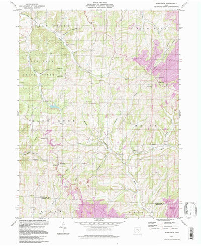 United States Geological Survey Ruraldale, OH (1994, 24000-Scale) digital map