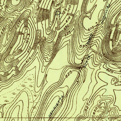 United States Geological Survey Rush, NY (1931, 24000-Scale) digital map