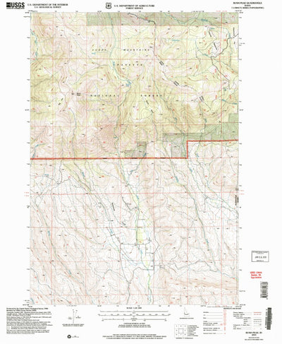 United States Geological Survey Rush Peak, ID (2004, 24000-Scale) digital map