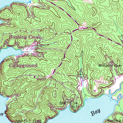 United States Geological Survey Rushing Bay, TN-KY (1950, 24000-Scale) digital map