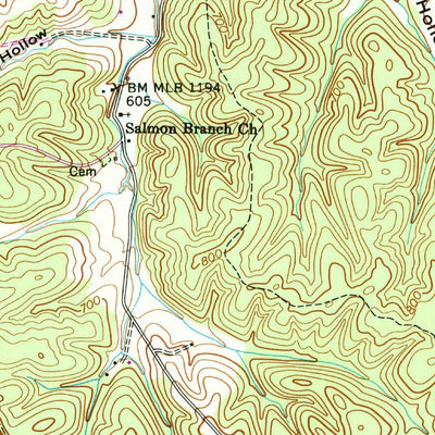 United States Geological Survey Ruskin, TN (1953, 24000-Scale) digital map