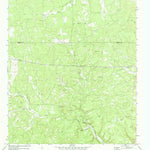 United States Geological Survey Rust Ranch, TX (1970, 24000-Scale) digital map