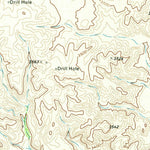 United States Geological Survey Rustler Hills, TX (1973, 24000-Scale) digital map
