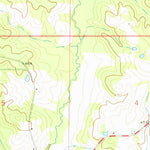 United States Geological Survey Ruth, MS (1972, 24000-Scale) digital map