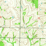 United States Geological Survey Rutledge, MO (1965, 24000-Scale) digital map