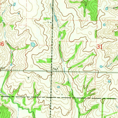 United States Geological Survey Rutledge, MO (1965, 24000-Scale) digital map