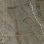 United States Geological Survey Ryan SW, TX (2010, 24000-Scale) digital map