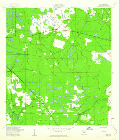 United States Geological Survey Rye, FL (1944, 24000-Scale) digital map