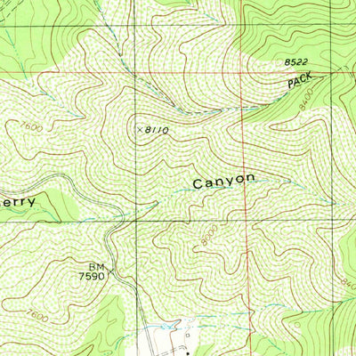 United States Geological Survey Sacramento Peak, NM (1981, 24000-Scale) digital map