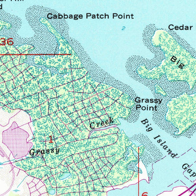 United States Geological Survey Safety Harbor, FL (1956, 24000-Scale) digital map