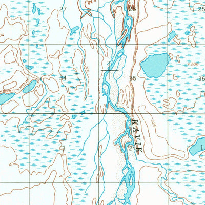 United States Geological Survey Sagavanirktok D-1, AK (1955, 63360-Scale) digital map