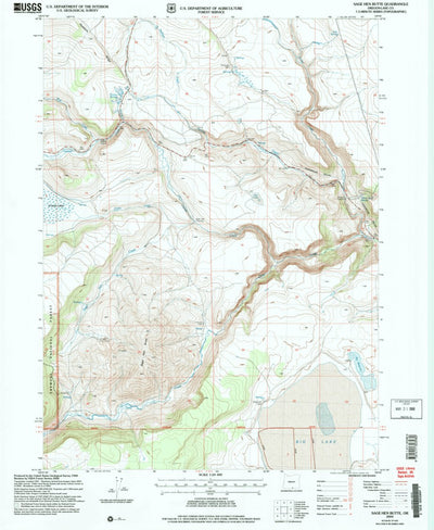 United States Geological Survey Sage Hen Butte, OR (2004, 24000-Scale) digital map