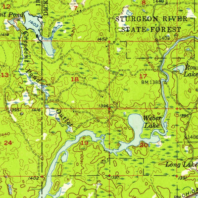 United States Geological Survey Sagola, MI (1956, 62500-Scale) digital map