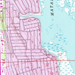 United States Geological Survey Saint Augustine Beach, FL (1956, 24000-Scale) digital map