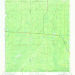 United States Geological Survey Saint Marks NE, FL (1954, 24000-Scale) digital map