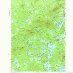 United States Geological Survey Saint Regis, NY (1955, 62500-Scale) digital map