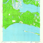 United States Geological Survey Saint Teresa, FL (1945, 24000-Scale) digital map