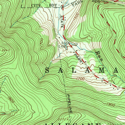 United States Geological Survey Salamanca, NY (1961, 24000-Scale) digital map