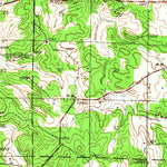 United States Geological Survey Salem, MO (1941, 62500-Scale) digital map