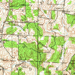 United States Geological Survey Salem, MO (1941, 62500-Scale) digital map