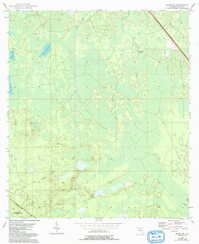 United States Geological Survey Salem SW, FL (1954, 24000-Scale) digital map