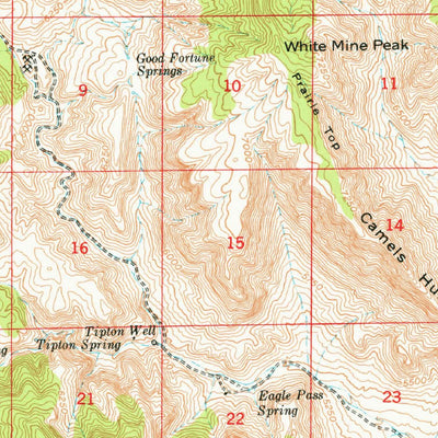 United States Geological Survey Salinas Peak, NM (1948, 62500-Scale) digital map