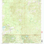 United States Geological Survey Saline, LA (2003, 24000-Scale) digital map