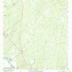 United States Geological Survey Salineno, TX (1965, 24000-Scale) digital map