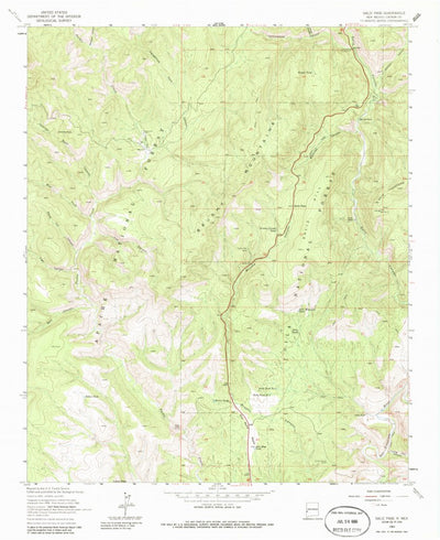 United States Geological Survey Saliz Pass, NM (1963, 24000-Scale) digital map