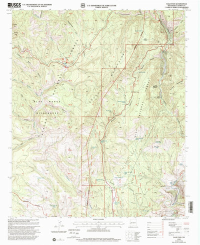 United States Geological Survey Saliz Pass, NM (1999, 24000-Scale) digital map